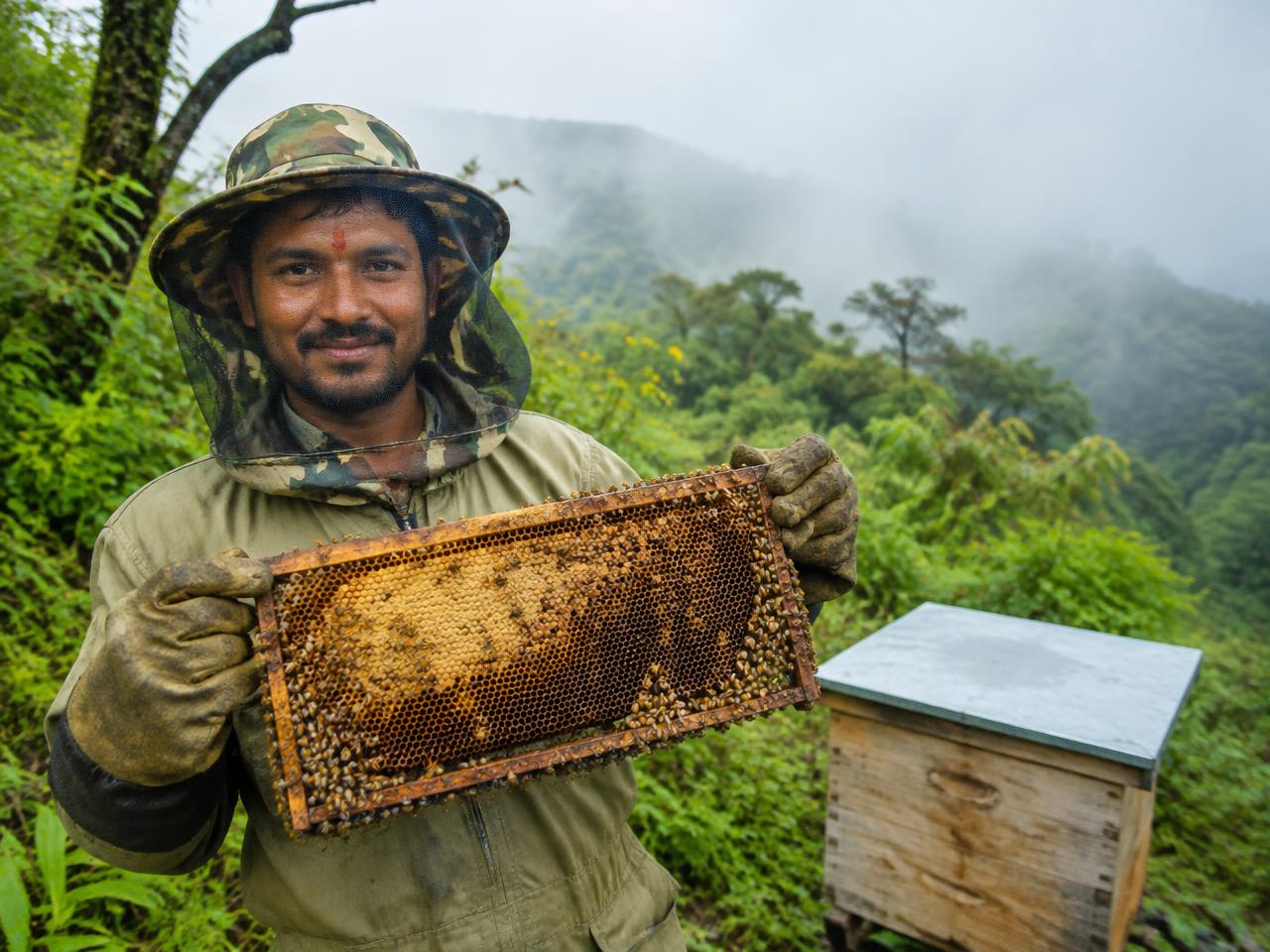 Beekeeper in the Western Ghats holding a honeycomb frame